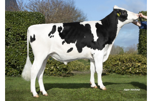 Jeans Mile: Top genomics and outcross genetics!