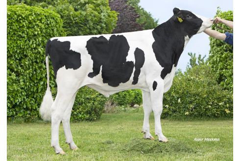 Skrinser Saturnus