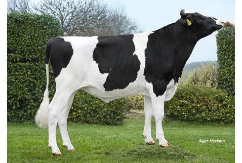 Willem's-Hoeve Ranx
