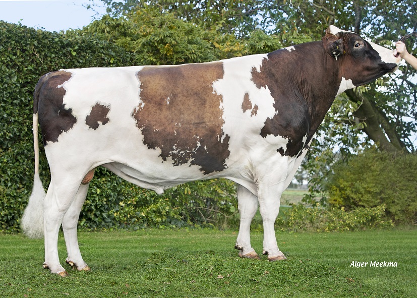 Reliever daughter group will go to Hardenberg!