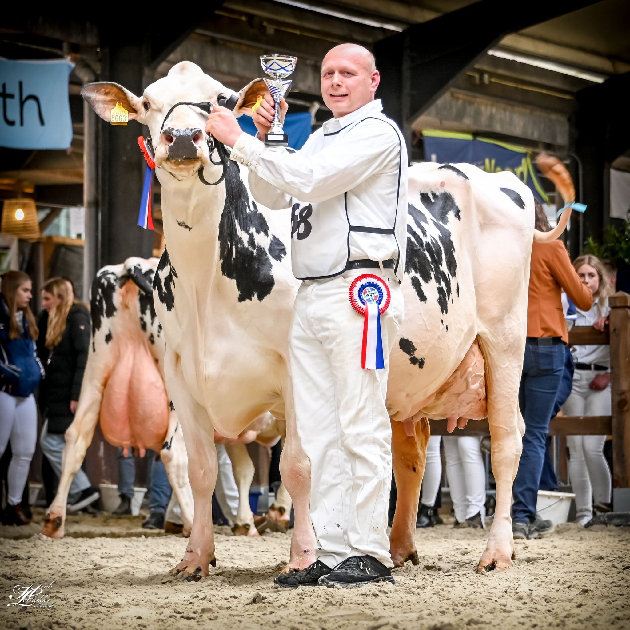 K.I. Kampen bull dam senior champion at local show in Groningen