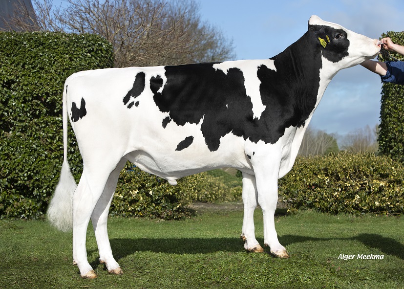 Jeans Mile: Top genomics and outcross genetics!